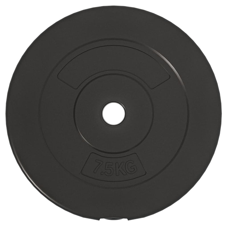 vidaXL Weight Plates 6 pcs 30 kg Cement