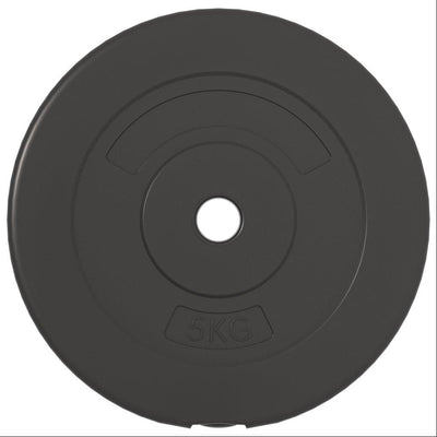 vidaXL Weight Plates 6 pcs 30 kg Cement