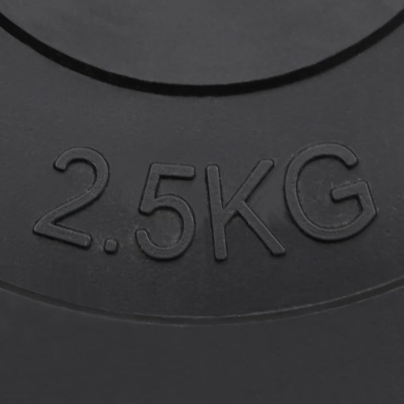 vidaXL Weight Plates 6 pcs 30 kg Cement