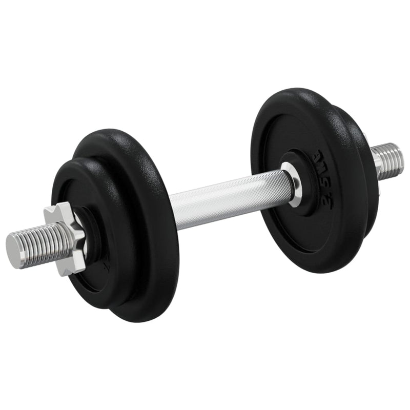 vidaXL Dumbbell with Plates Set 40 kg Cast Iron and Chrome Plated Steel
