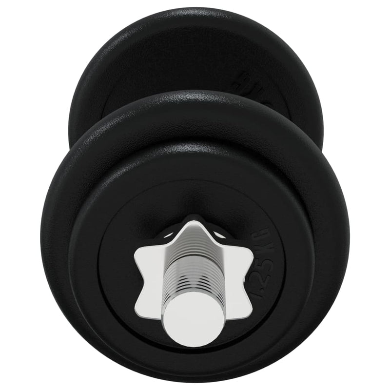 vidaXL Dumbbell with Plates Set 40 kg Cast Iron and Chrome Plated Steel