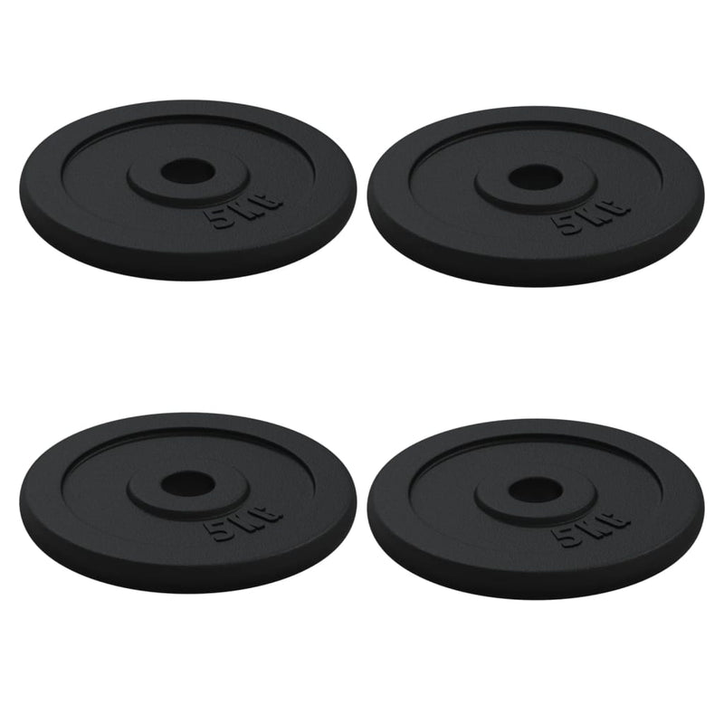 vidaXL Dumbbell with Plates Set 40 kg Cast Iron and Chrome Plated Steel