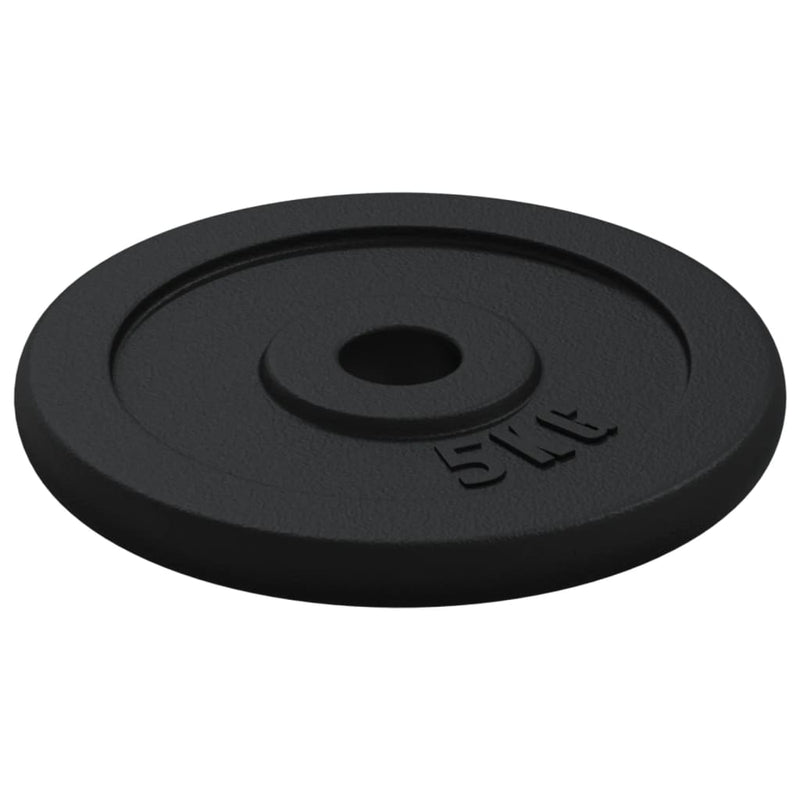 vidaXL Dumbbell with Plates Set 40 kg Cast Iron and Chrome Plated Steel