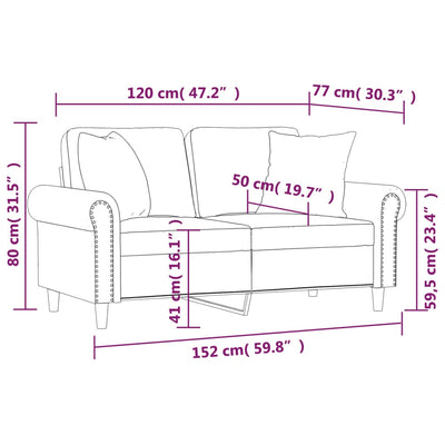 vidaXL 2-Seater Sofa with Pillows&Cushions Dark Grey 120 cm Velvet