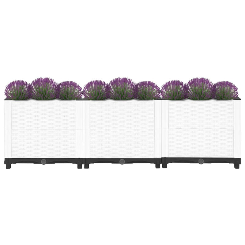 vidaXL Raised Bed 160x40x38 cm Polypropylene