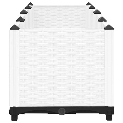 vidaXL Raised Bed 160x40x38 cm Polypropylene