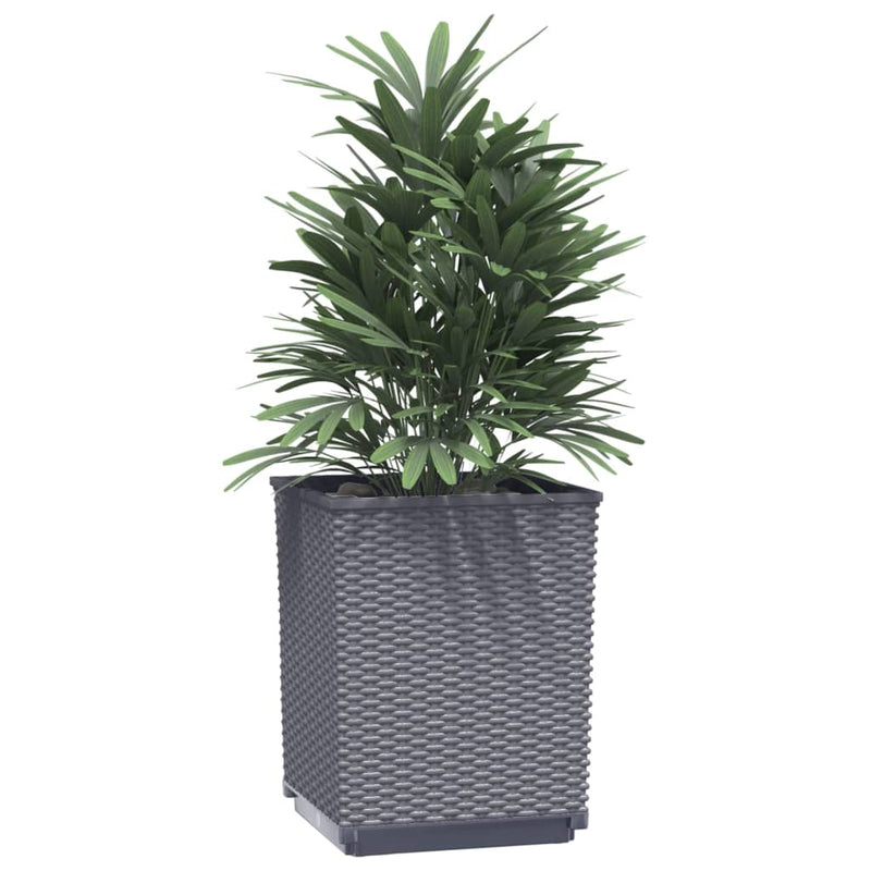 vidaXL Planters 4 pcs Black 30x30x37 cm Polypropylene