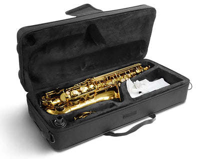 E Flat Alto Saxophone Brass Body Student KAS102