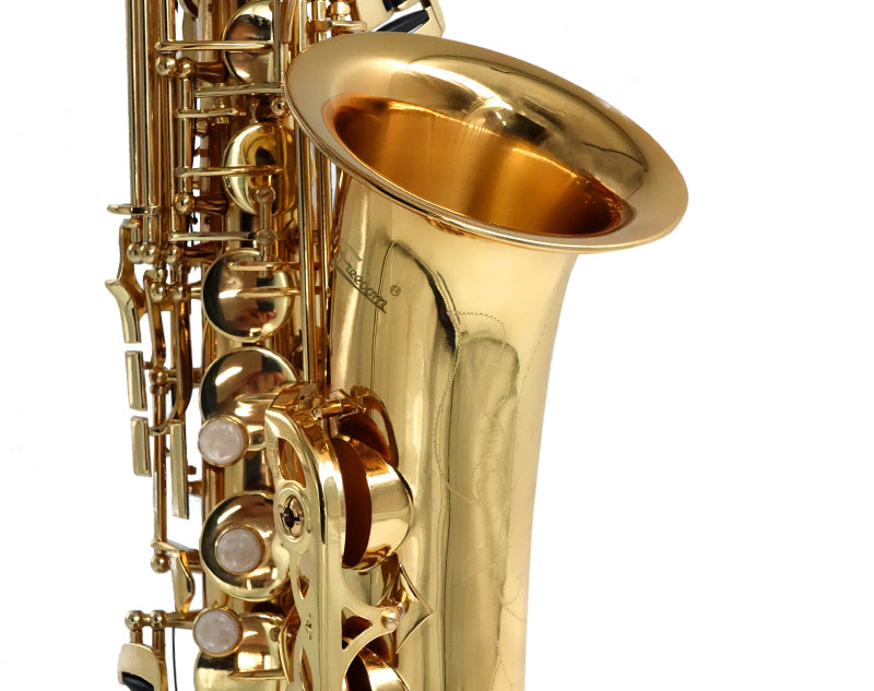 E Flat Alto Saxophone Brass Body Student KAS102