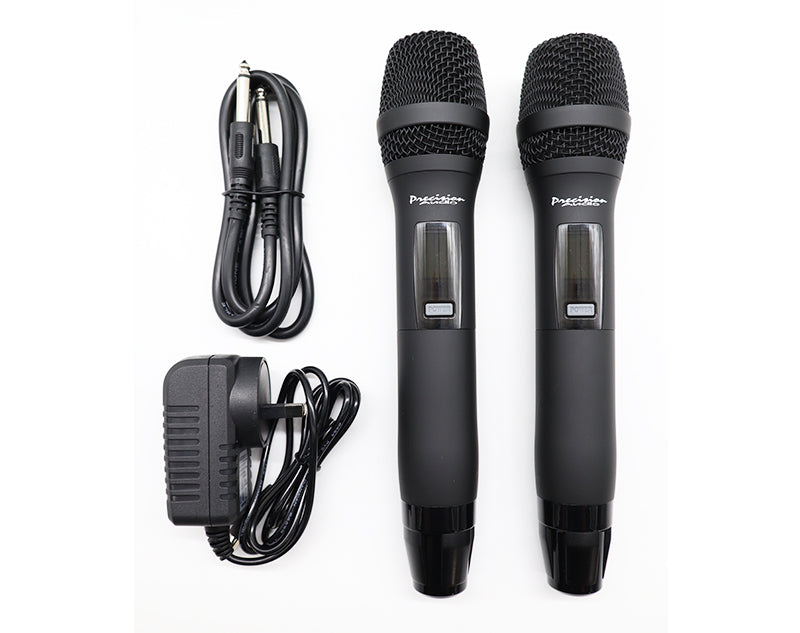 Twin Channel Professional Wireless Microphone System Dual XLR Out MIC24