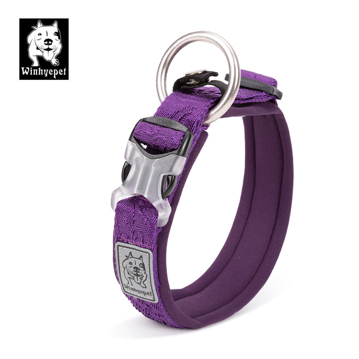 Whinhyepet Collar purple - L