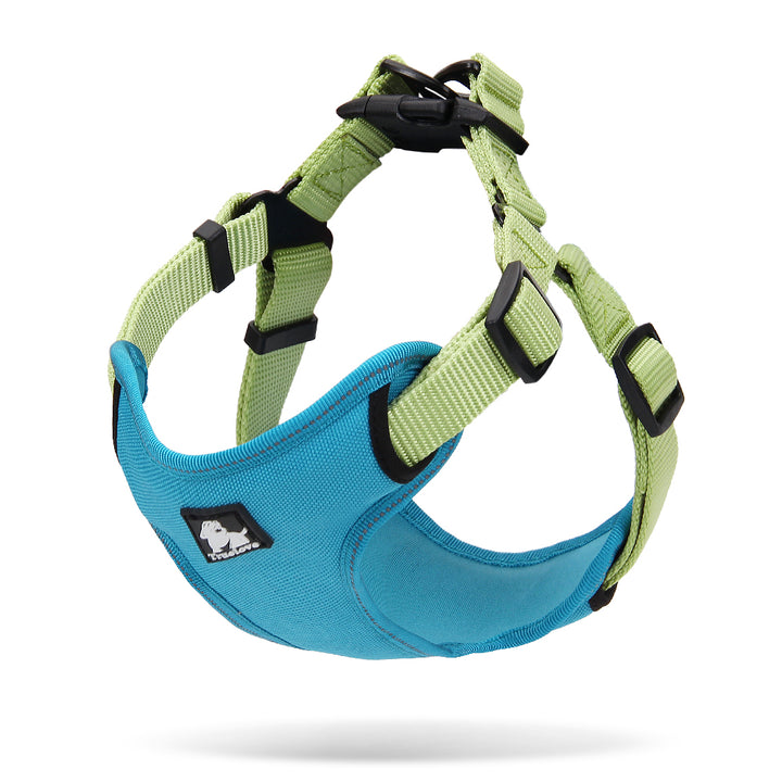 Urban Harness Blue/Green L