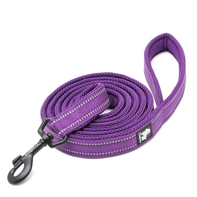 Reflective Pet Leash 2 meters Purple M