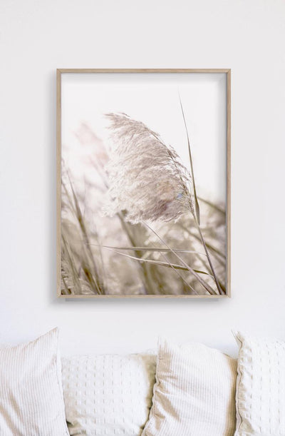 Wall Art 50cmx70cm Pampas Grass 2 Sets Wood Frame Canvas