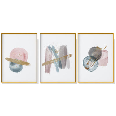 40cmx60cm Blush Pink Watercolor 3 Sets Gold Frame Canvas Wall Art