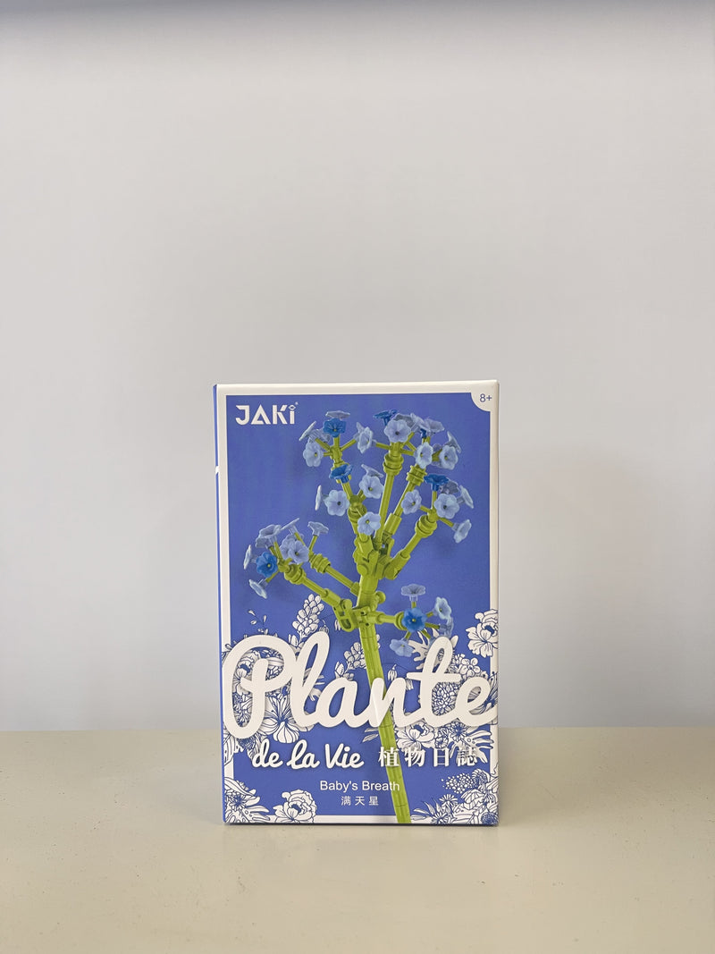 JAKI Plante de La Vie Brady_ã_s Breath