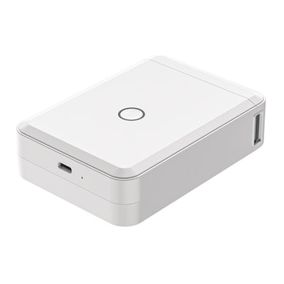 Niimbot D110 White (G)