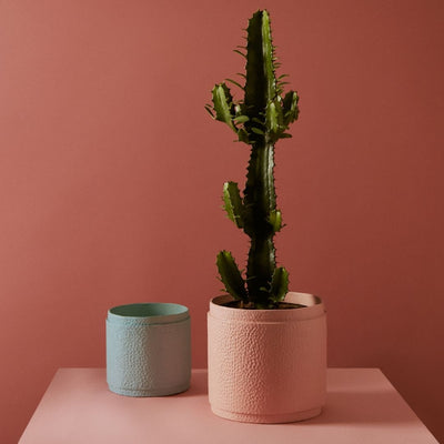 Tree Stripes Reef Design Pot in Almond Blue (Small)