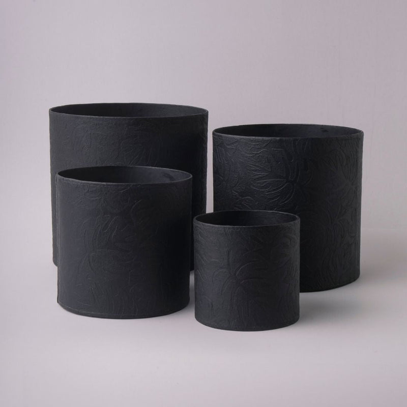 Tree Stripes Cylinder Pot Monstera - Black (Small)