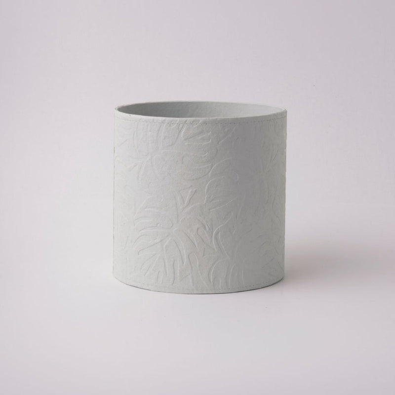 Tree Stripes Cylinder Pot Monstera - Morning Mist (Medium)