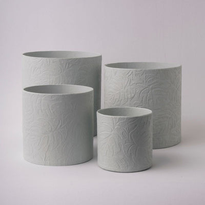 Tree Stripes Cylinder Pot Monstera - Morning Mist (Large)