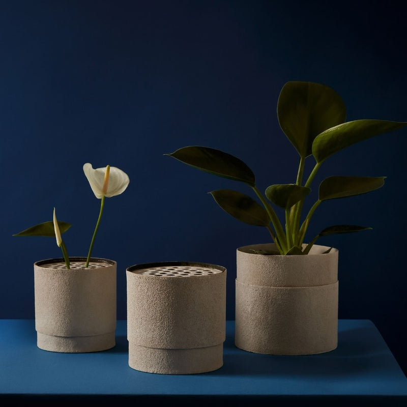 Tree Stripes Dried & Preserved Flower Holder Pot Set of 3 - Amalfi