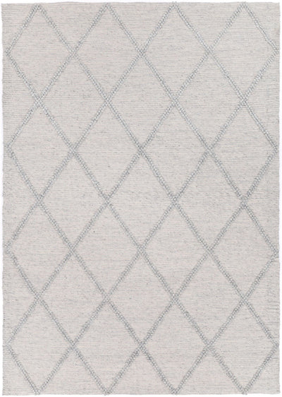 Leilani Diamond Braided Grey Rug 160x230cm