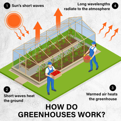 Greenhouse Walk-In Shed 3x2x2M PE Dome Tunnel Polytunnel