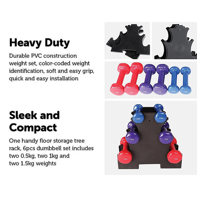 6-Piece Dumbbell Set with Rack