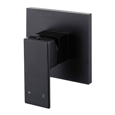 Polished Black Bathroom Shower Wall Mixer w/ WaterMark