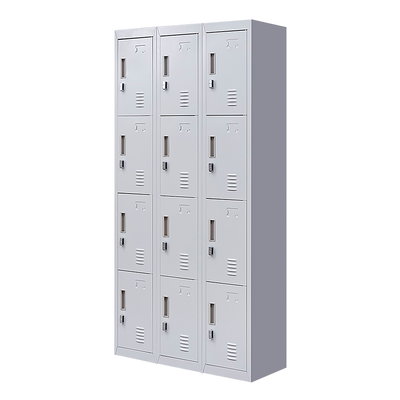 12-Door Locker for Office Gym Shed School Home Storage