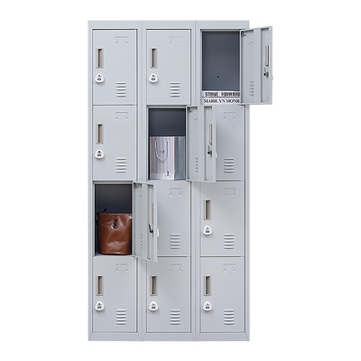 12-Door Locker for Office Gym Shed School Home Storage