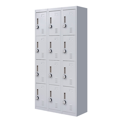 12-Door Locker for Office Gym Shed School Home Storage