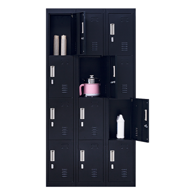 12-Door Locker for Office Gym Shed School Home Storage