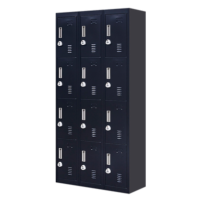 12-Door Locker for Office Gym Shed School Home Storage