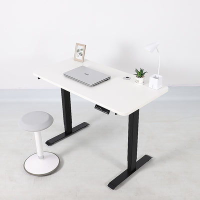 Palermo Standing Desk Sit Stand Height Adjustable Motorised 120cm Table Dual Motor