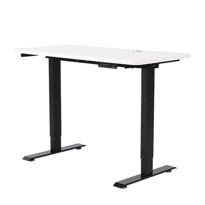 Palermo Standing Desk Sit Stand Height Adjustable Motorised 120cm Table Dual Motor