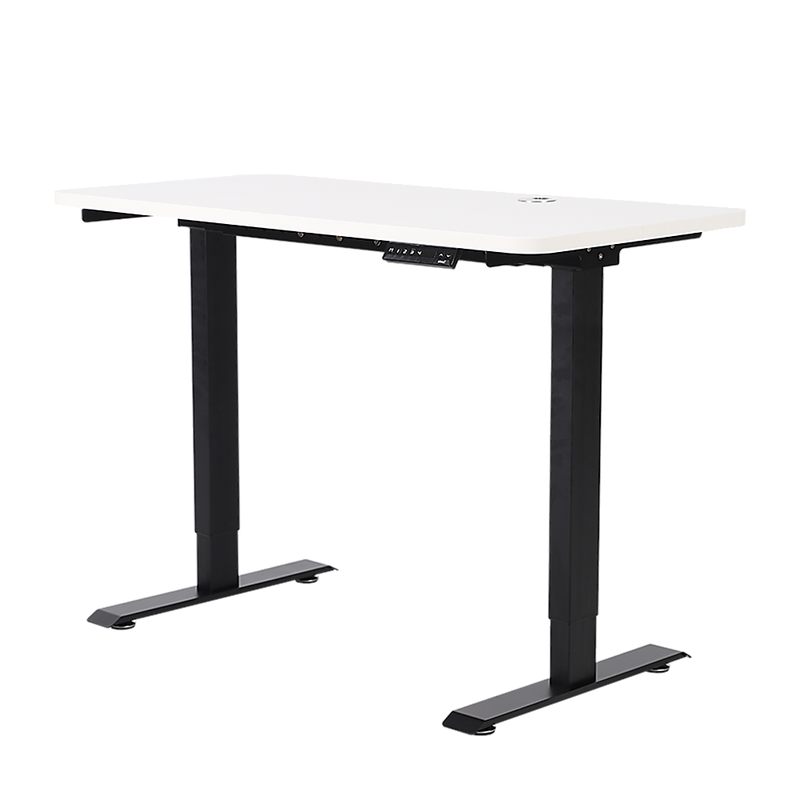 Palermo Standing Desk Sit Stand Height Adjustable Motorised 120cm Table Dual Motor