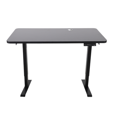 Palermo Standing Desk Sit Stand Height Adjustable Motorised 120cm Table Dual Motor