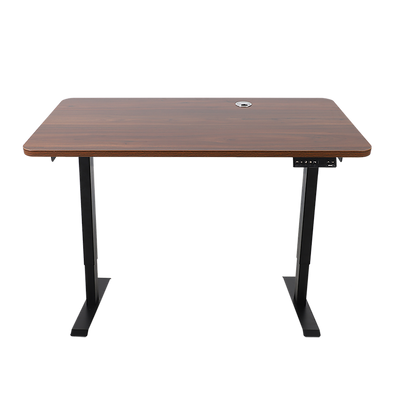 Palermo Standing Desk Sit Stand Height Adjustable Motorised 120cm Table Dual Motor