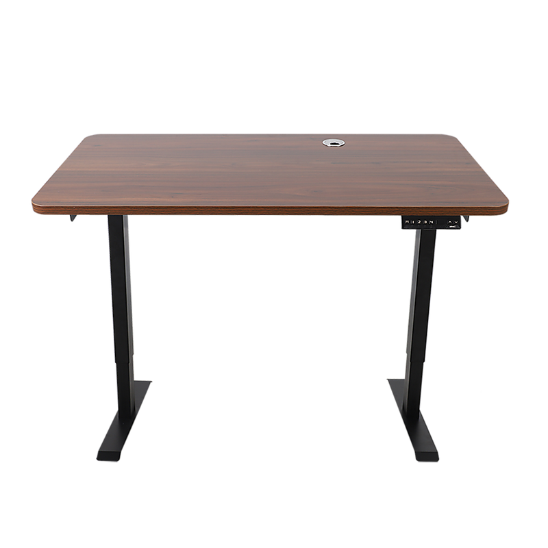 Palermo Standing Desk Sit Stand Height Adjustable Motorised 120cm Table Dual Motor