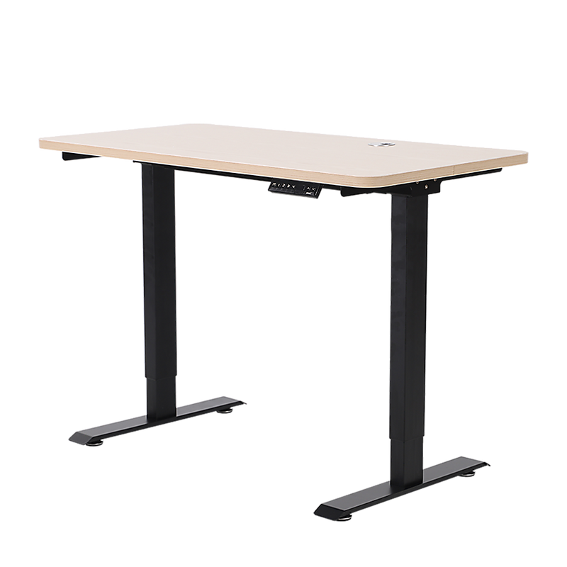 Palermo Standing Desk Sit Stand Height Adjustable Motorised 120cm Table Dual Motor