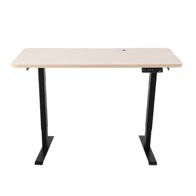 Palermo Standing Desk Sit Stand Height Adjustable Motorised 120cm Table Dual Motor