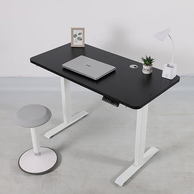 Palermo Standing Desk Sit Stand Height Adjustable Motorised 120cm Table Dual Motor