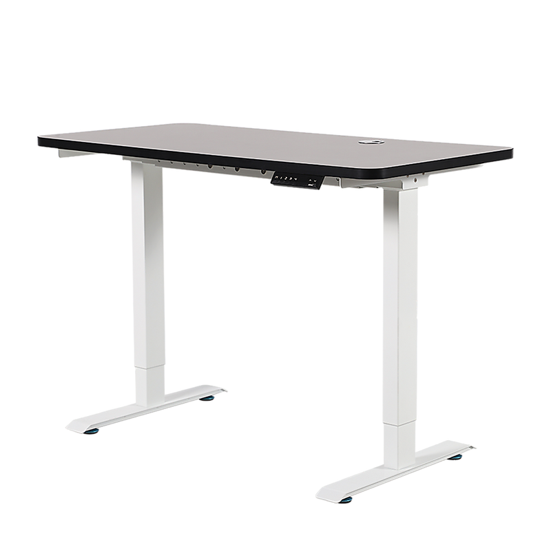 Palermo Standing Desk Sit Stand Height Adjustable Motorised 120cm Table Dual Motor