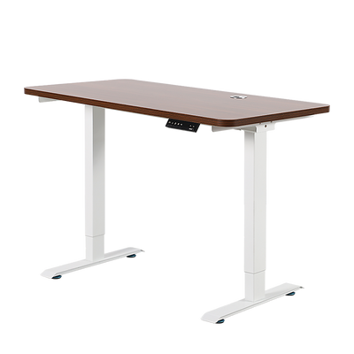 Palermo Standing Desk Sit Stand Height Adjustable Motorised 120cm Table Dual Motor