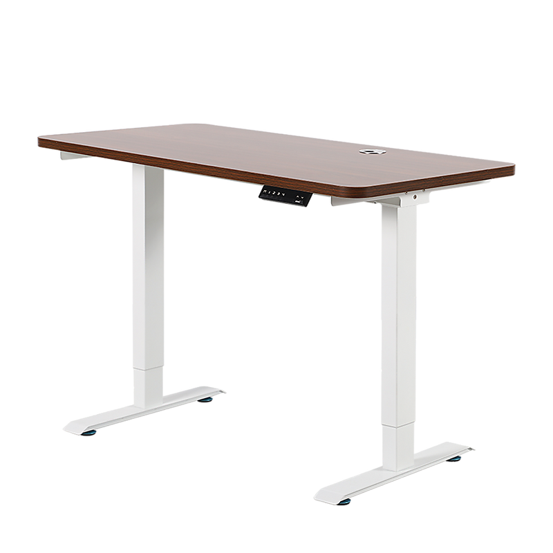 Palermo Standing Desk Sit Stand Height Adjustable Motorised 120cm Table Dual Motor