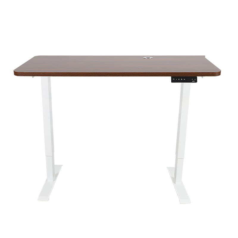 Palermo Standing Desk Sit Stand Height Adjustable Motorised 120cm Table Dual Motor