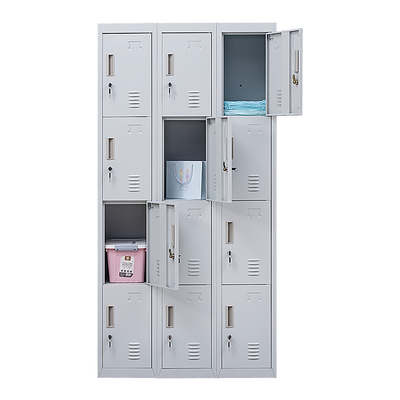 12-Door Locker for Office Gym Shed School Home Storage - Standard Lock with Keys