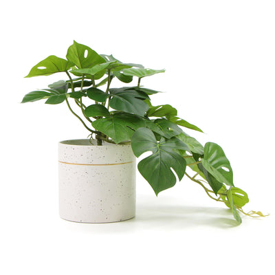 Decorative Ceramic Bowl Potted Artificial Monstera Plant 30cm